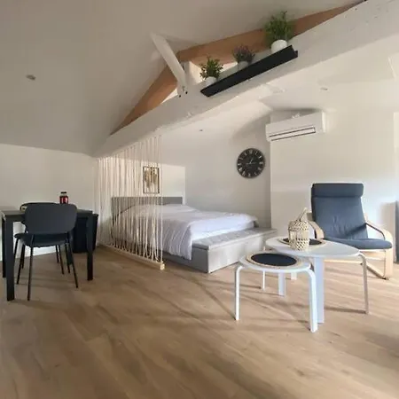 Neuf Lumineux Climatise *